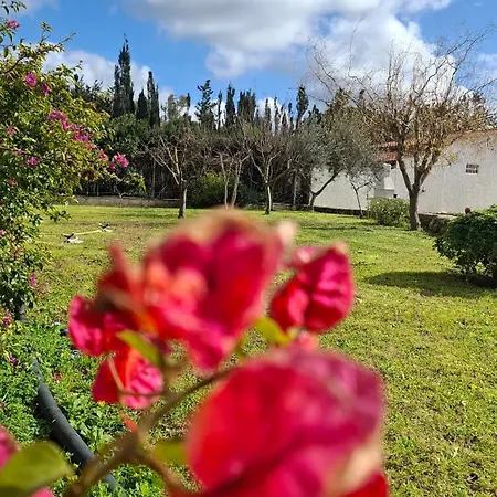 Apartament Casal Baratz