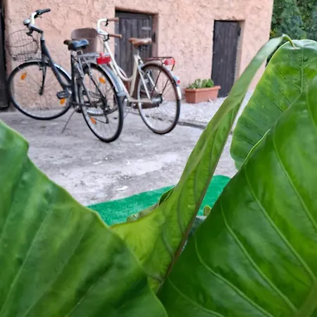 Apartment Casal Baratz
